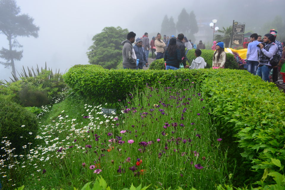 Photo of Batasia Loop, West Point, Darjeeling, West Bengal by Niyati Shah