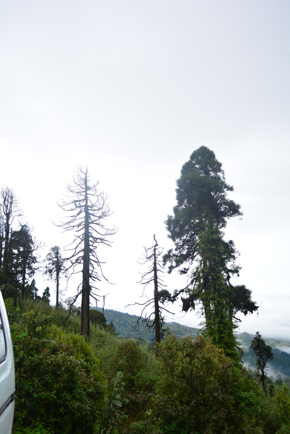 Photo of Tiger Hill, Darjeeling, West Bengal by Niyati Shah