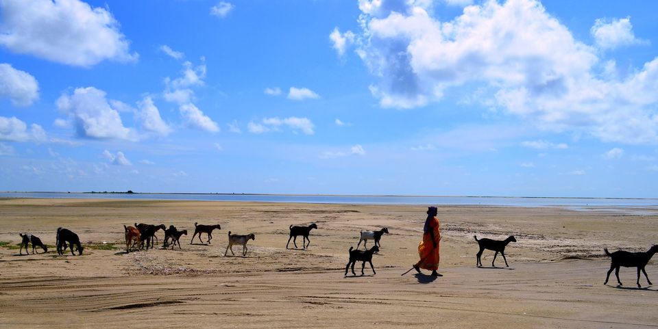 Photo of Madurai, Rameshwaram, Dhanushkodi, Tiruchendur and Kanyakumari-SOLO 14/15 by Ajit Mishra