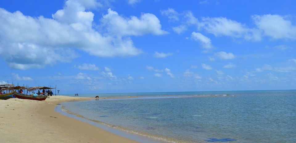 Photo of Madurai, Rameshwaram, Dhanushkodi, Tiruchendur and Kanyakumari-SOLO 6/15 by Ajit Mishra