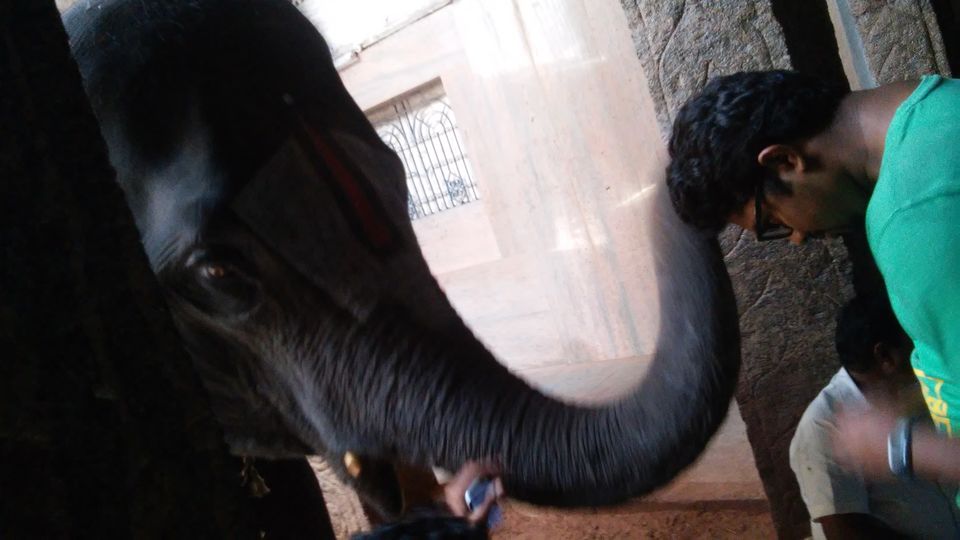 Photo of Madurai unexplored-a city that doesn't want to sleep 7/8 by aparaajith sharma