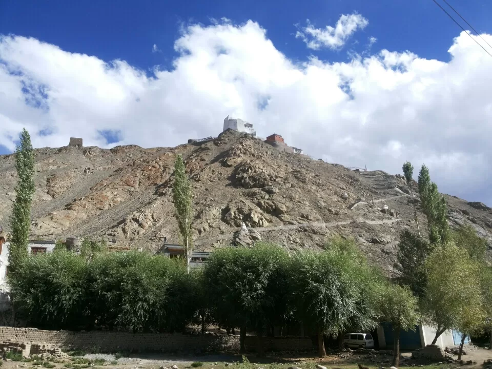 Photo of Leh City by Frieveller