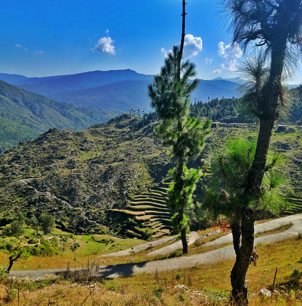 Photo of Almora, Uttarakhand, India by _.safarnama_
