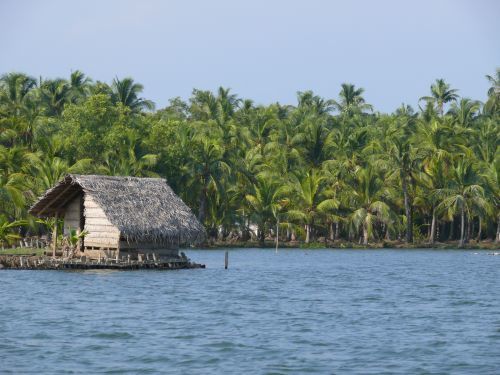 Photo of Beauty of Ashtamudi Lake 7/8 by Parvathy Gopikochumattel