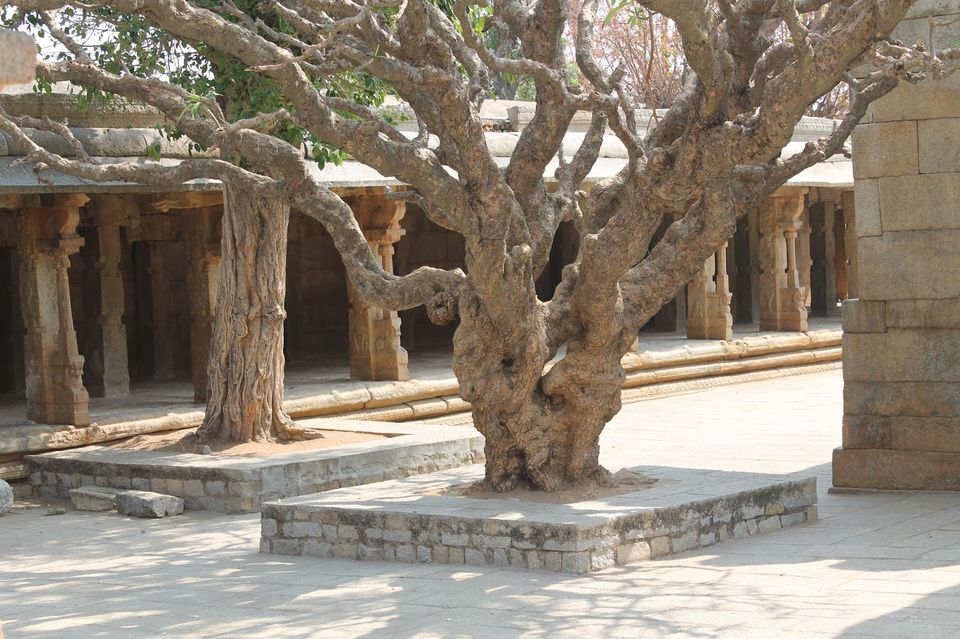 Photo of LEPAKSHI 7/10 by Parvathy Gopikochumattel