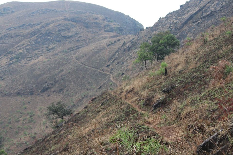 Photo of Chirping Chikmagalur 28/37 by Parvathy Gopikochumattel