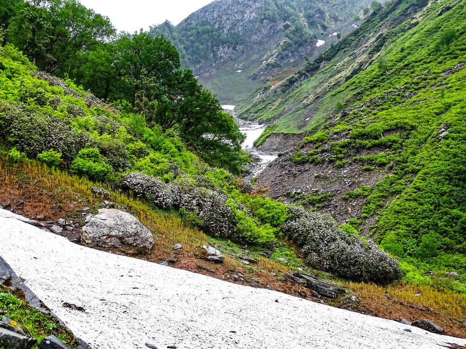 Photo of Beas Kund Trek - Complete Photo Guide 2/20 by Anchal