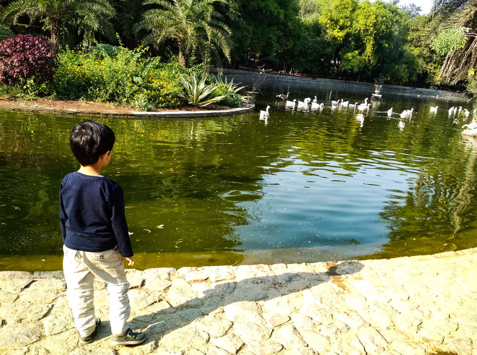 Photo of Solo Travel With Kid? Here's How To Do It Right 9/10 by Anchal