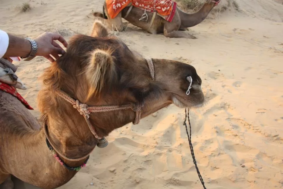 Photo of Thar Desert, Rajasthan, India by Manasi Mishra
