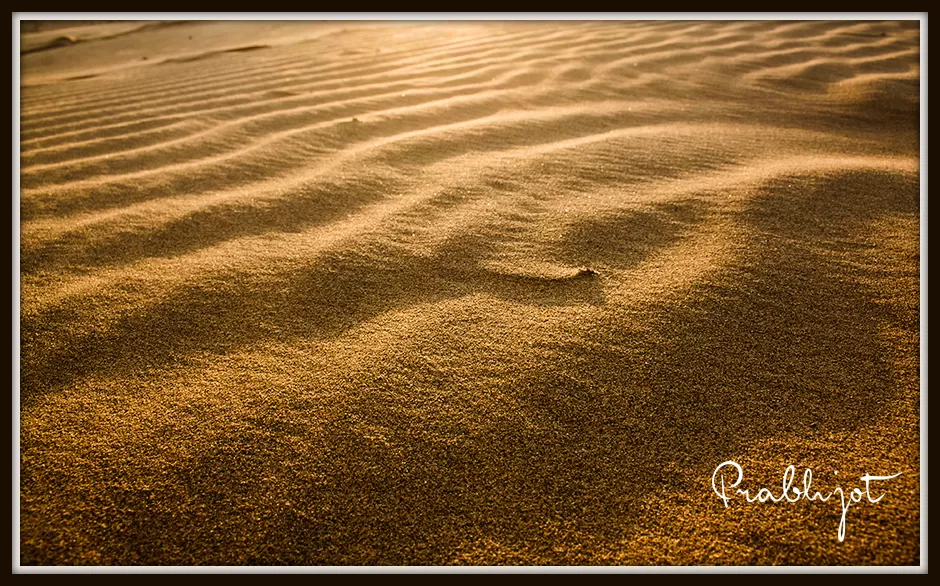 Photo of Sam Sand Dunes, Major District Road 53, Kanoi, Rajasthan, India by Prabhjot