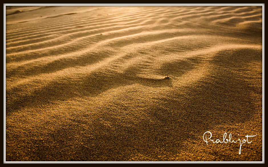 Photo of A Day in Surreal Sam Dunes: Rajasthan 7/8 by Prabhjot