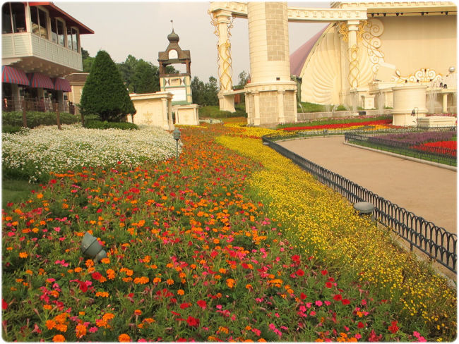 Photo of Everland, Yongin-si, Gyeonggi-do, South Korea by Afni Amin