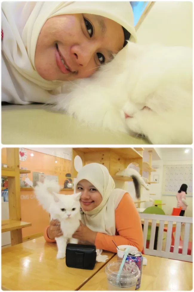 Photo of Toms Cat Cafe, South Korea by Afni Amin
