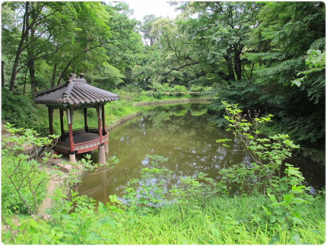 Photo of 12 Days in South Korea With My Bestie by Afni Amin