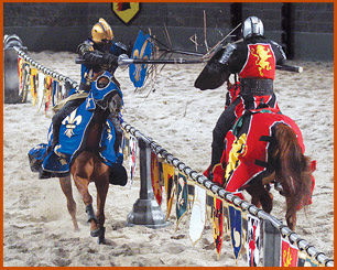Photo of Medieval Times-Toronto, Dufferin Street, Toronto, ON, Canada by Holly