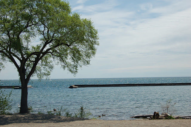 Photo of Lakeshore Boulevard East, Toronto, ON, Canada by Holly