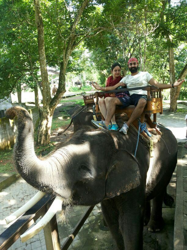 Photo of Being in Bali by Harleen Baweja