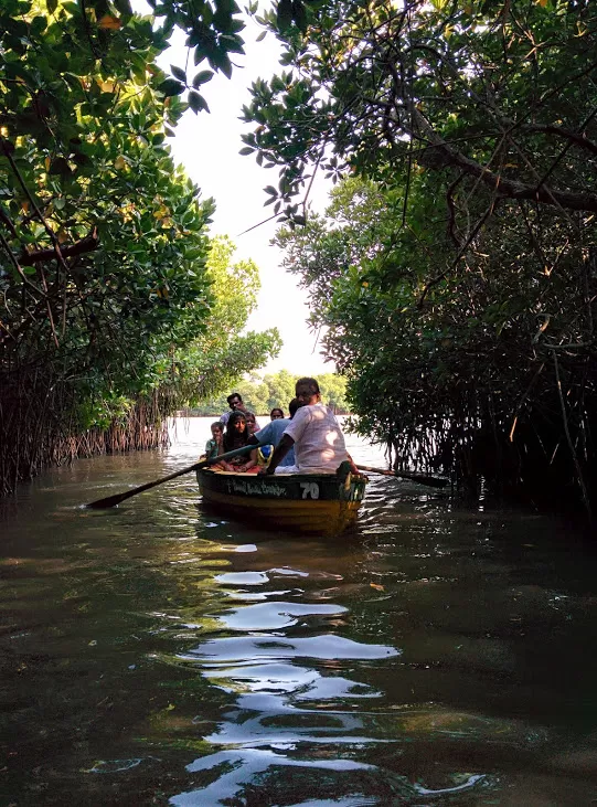Photo of PICHAVARAM MANGROVE FOREST, Cuddalore, Tamil Nadu 608102, India by Archana Singh