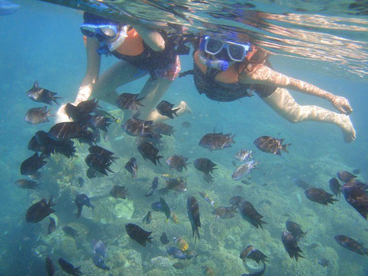 Photo of Puerto Galera – the Gateway to Spectacular Underwater World 8/15 by Archana Singh