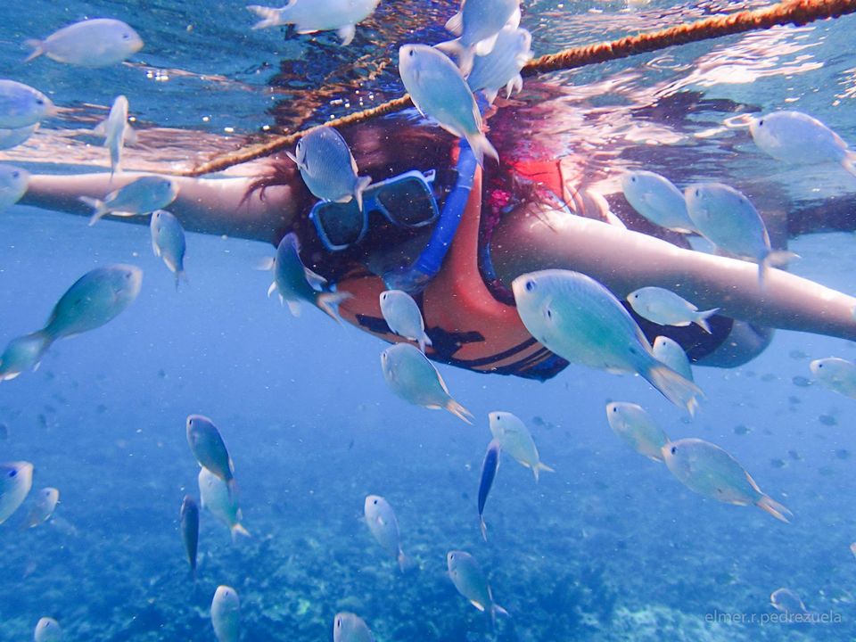 Photo of Puerto Galera – the Gateway to Spectacular Underwater World 9/15 by Archana Singh