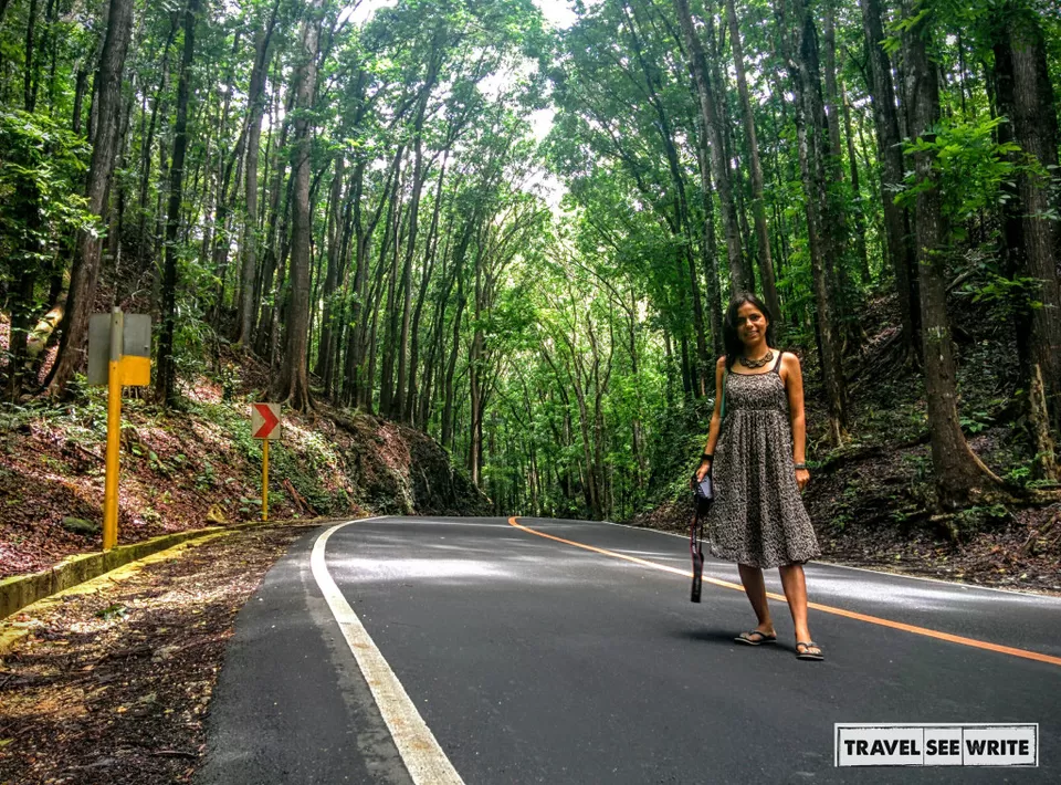 Photo of Bohol, Central Visayas, Philippines by Archana Singh