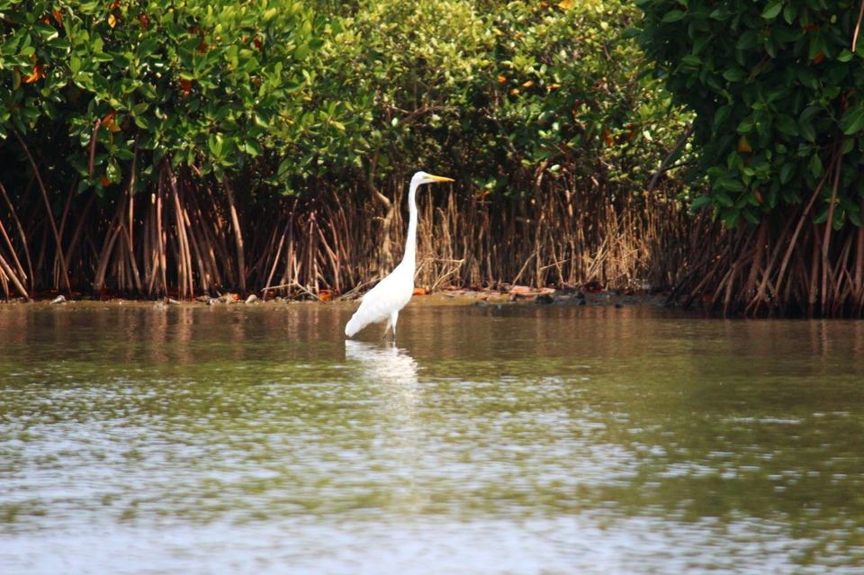 Photo of OFFBEAT GOA – SECRET THINGS THAT ONLY LOCALS KNOW 7/7 by Archana Singh