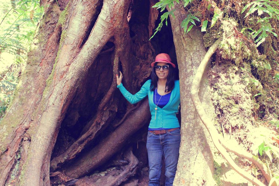 Photo of Practical Tips for Your First Time Travel to Australia 4/19 by Archana Singh