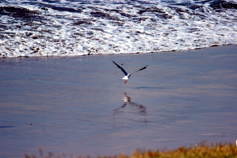 Photo of Practical Tips for Your First Time Travel to Australia 7/19 by Archana Singh