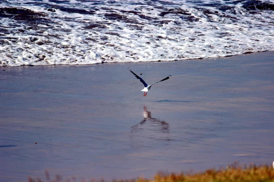 Photo of Great Ocean Road, Wye River, Victoria, Australia by Archana Singh