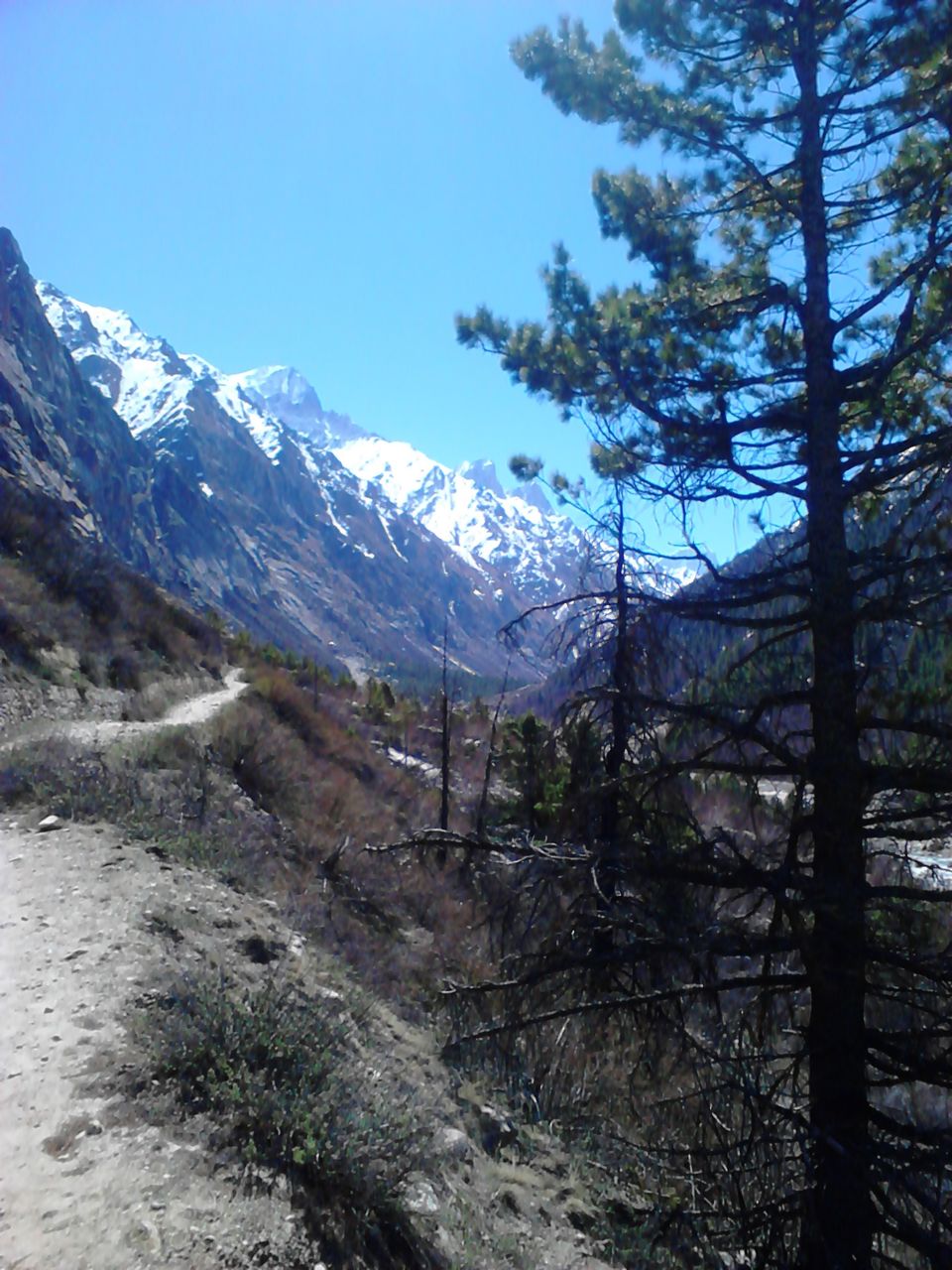 Photo of GAUMUKH under 2500rs(FOR EVERY WANDERING SOUL WHO GOT BUDGET CRUNCHED) 3/6 by Anuj Chauhan