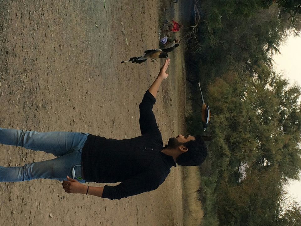 Photo of Ranthambore Zone 6 by Ashish Saxena