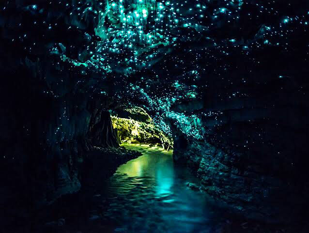 Photo of The Land Of Kiwis - North Island (5Ns/6days Itinerary) by SONIA DAVID