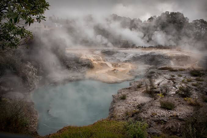 Photo of The Land Of Kiwis - North Island (5Ns/6days Itinerary) by SONIA DAVID