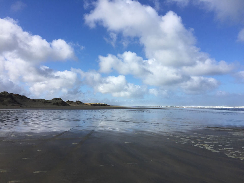 Photo of The Land Of Kiwis - North Island (5Ns/6days Itinerary) by SONIA DAVID
