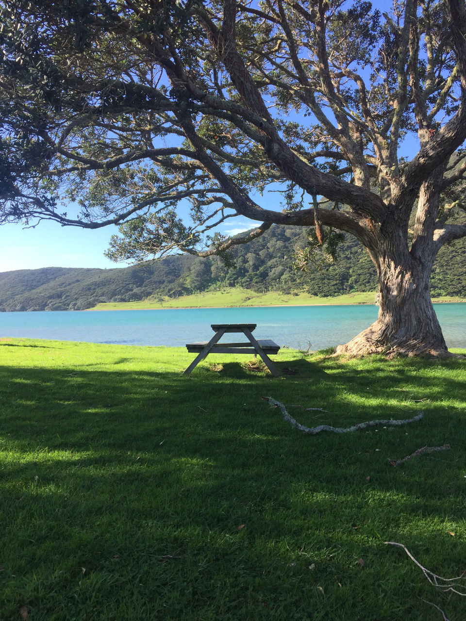 Photo of The Land Of Kiwis - North Island (5Ns/6days Itinerary) by SONIA DAVID