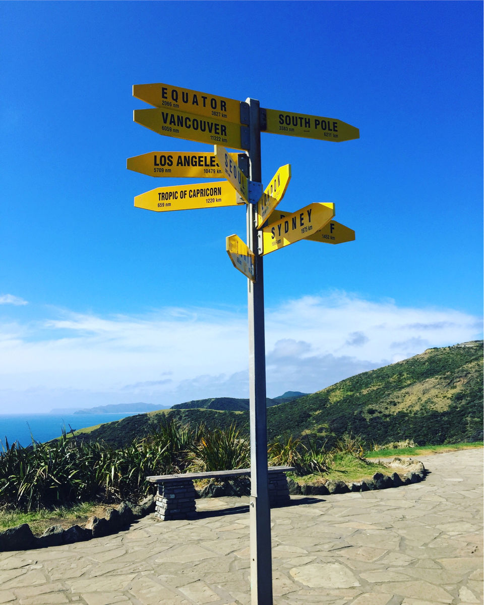 Photo of The Land Of Kiwis - North Island (5Ns/6days Itinerary) by SONIA DAVID