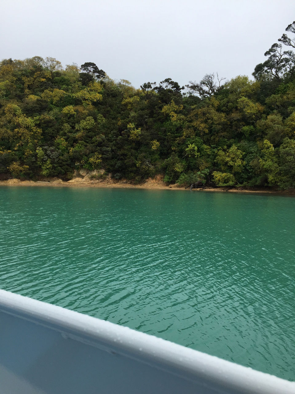 Photo of The Land Of Kiwis - North Island (5Ns/6days Itinerary) by SONIA DAVID
