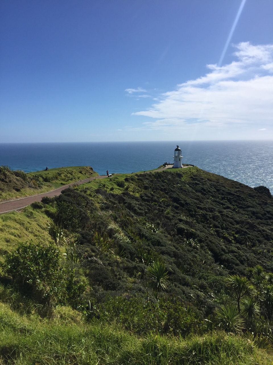 Photo of The Land Of Kiwis - North Island (5Ns/6days Itinerary) by SONIA DAVID