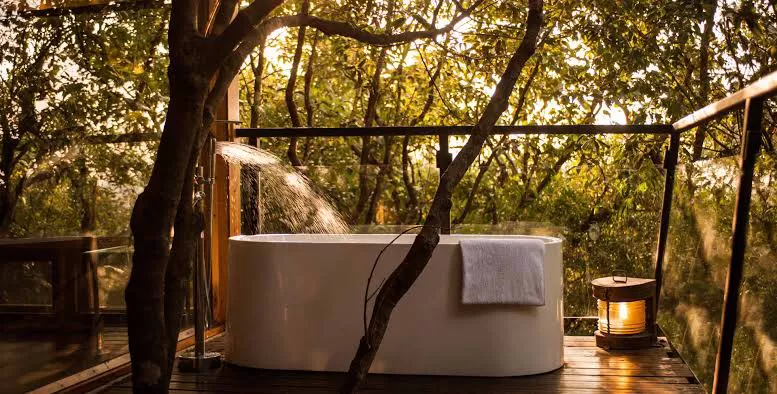 Photo of Live In A ‘Tree House’ Near Mumbai by SONIA DAVID