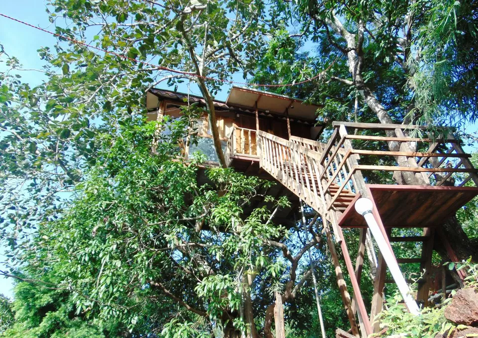 Photo of Live In A ‘Tree House’ Near Mumbai by SONIA DAVID