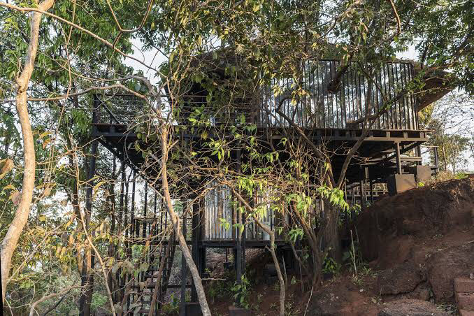 Photo of Live In A ‘Tree House’ Near Mumbai by SONIA DAVID