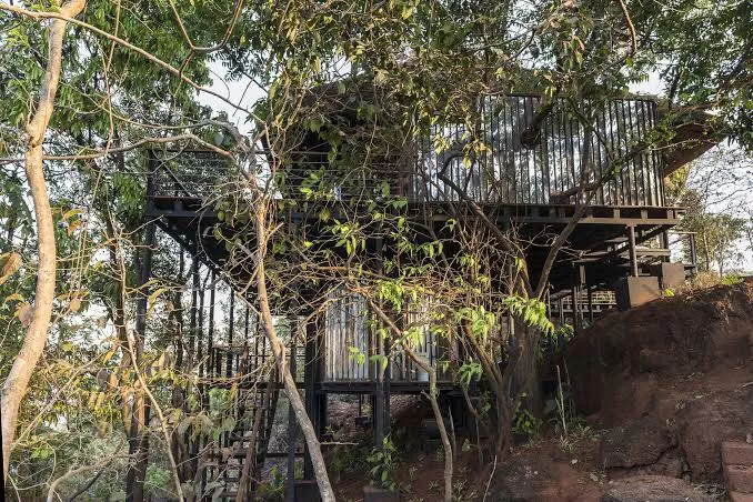 Photo of Live In A ‘Tree House’ Near Mumbai by SONIA DAVID