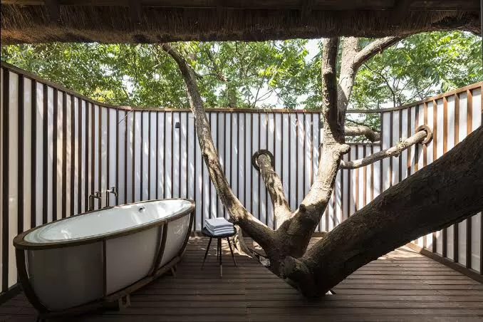 Photo of Live In A ‘Tree House’ Near Mumbai by SONIA DAVID