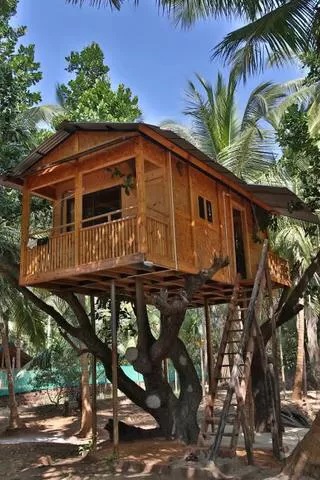 Photo of Live In A ‘Tree House’ Near Mumbai by SONIA DAVID