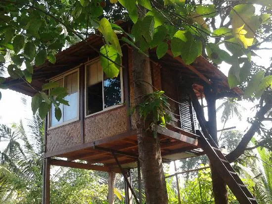 Photo of Live In A ‘Tree House’ Near Mumbai by SONIA DAVID