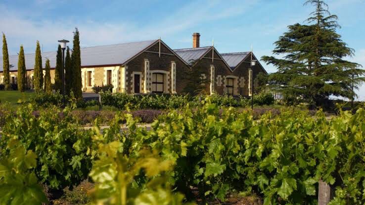 Photo of Australia’ Great Food And Wine Itinerary - Adelaide! by SONIA DAVID