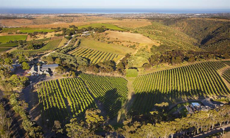 Photo of Australia’ Great Food And Wine Itinerary - Adelaide! by SONIA DAVID