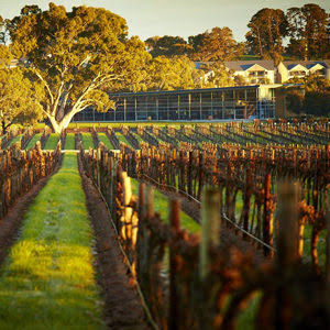 Photo of Australia’ Great Food And Wine Itinerary - Adelaide! by SONIA DAVID