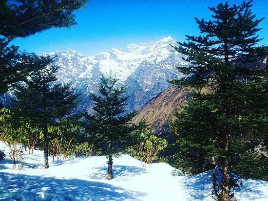 Photo of Snowfall Of NorthEast!!! by SONIA DAVID