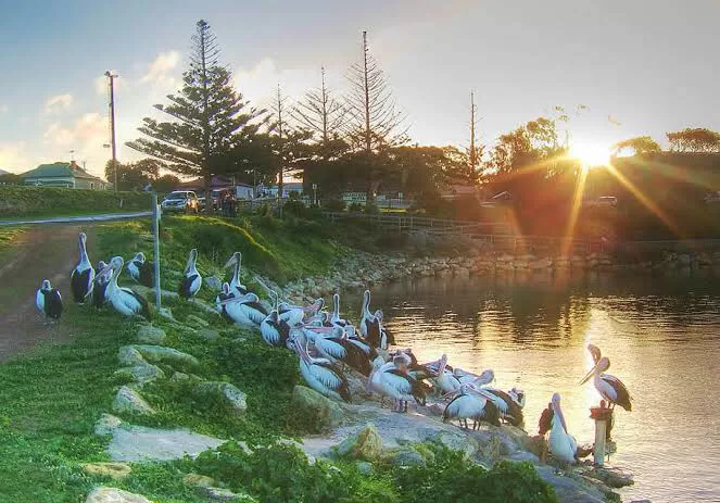 Photo of Kangaroo Island - Itinerary by SONIA DAVID